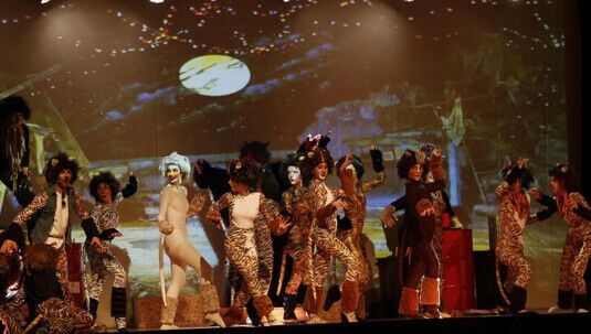 Allievi del Centro di Produzione Danza e Recitazione Viterbo durante la performance del musical "Cats"